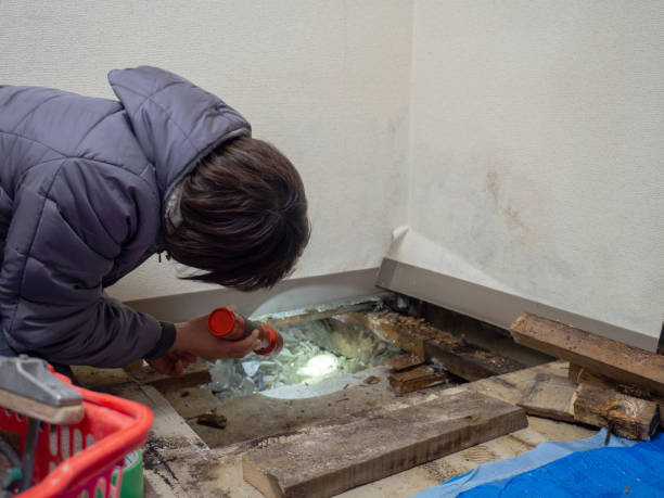 Mold Documentation for Insurance Claims in Burnet, TX