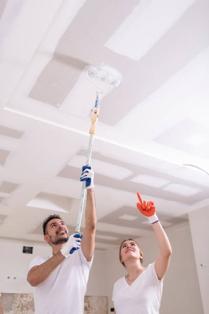 Reliable Burnet, TX Mold Removal Solutions